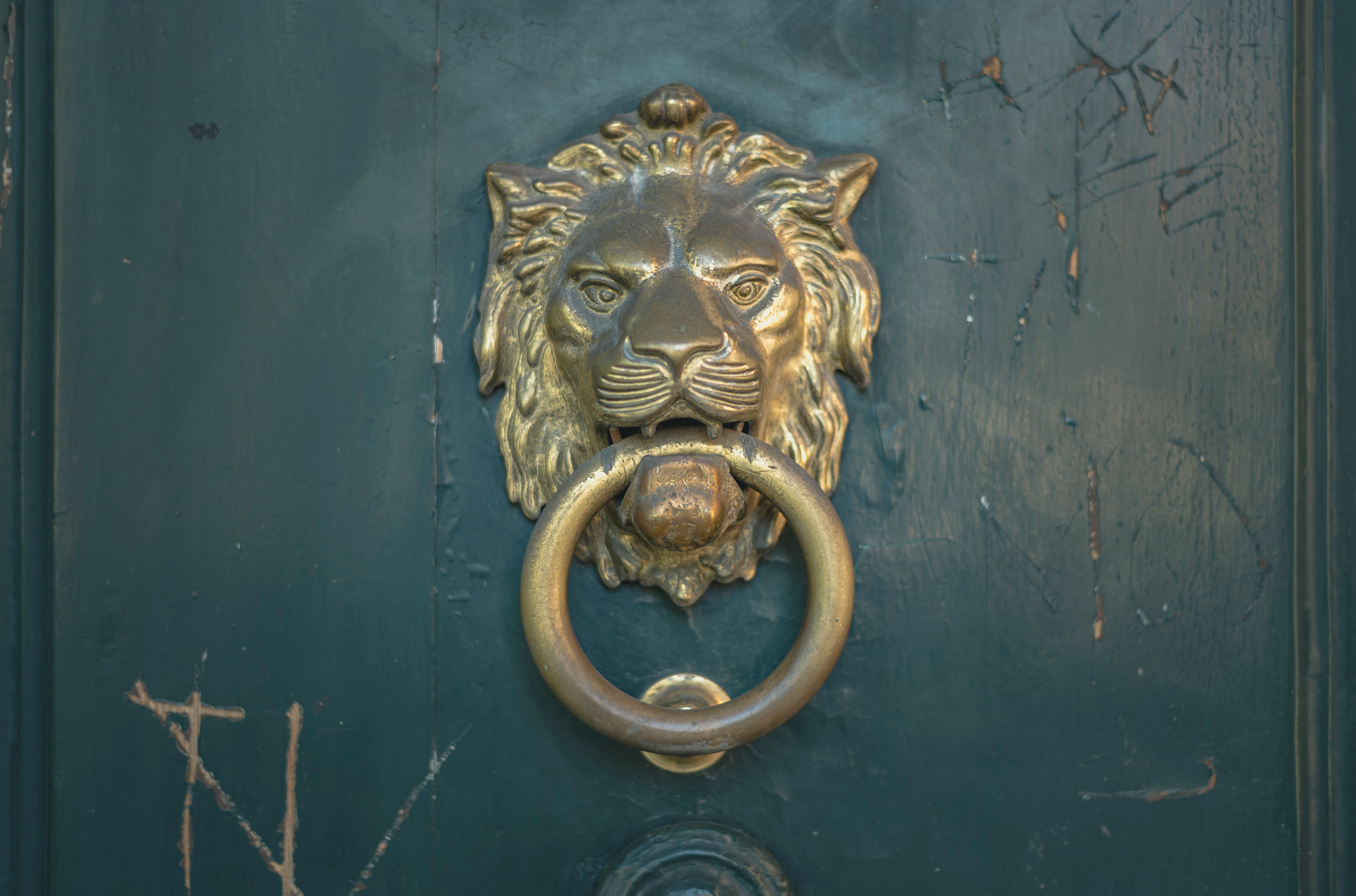 gold lion door handle on blue wooden door
